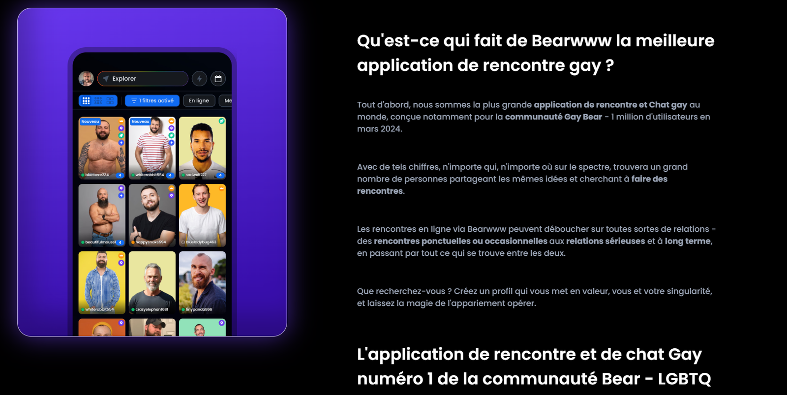 bearwww banniere 2
